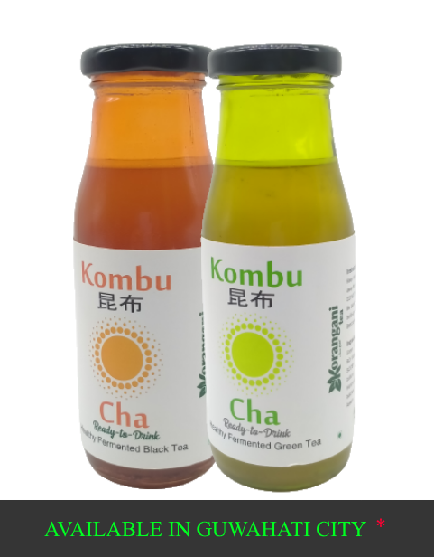 Kombucha ( Mini Pack )